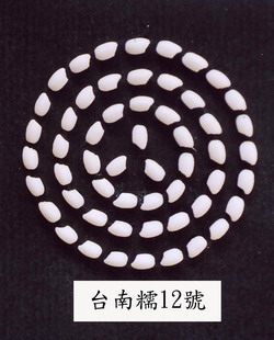 �x�n�z12���զ�