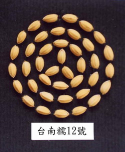 �x�n�z12���_�\