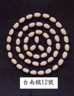 �x�n�z12���W��