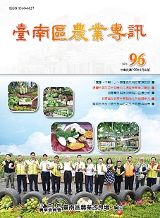 �x�n�ϹA�~�M�T96���ʭ�