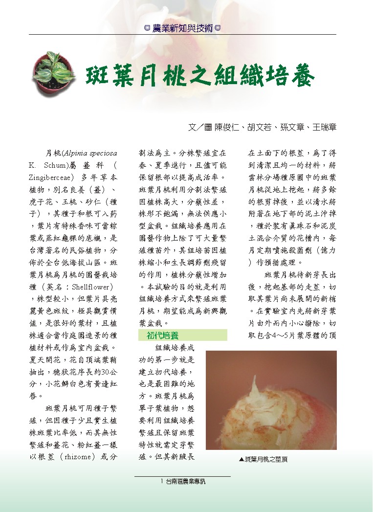 ������礧��´���i�Ϥ�����