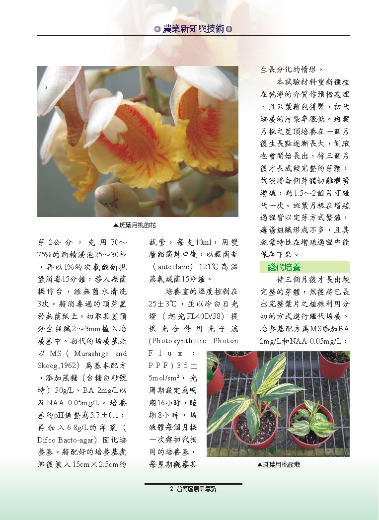 ������礧�A�~�s���P�޳N�����Ϥ�