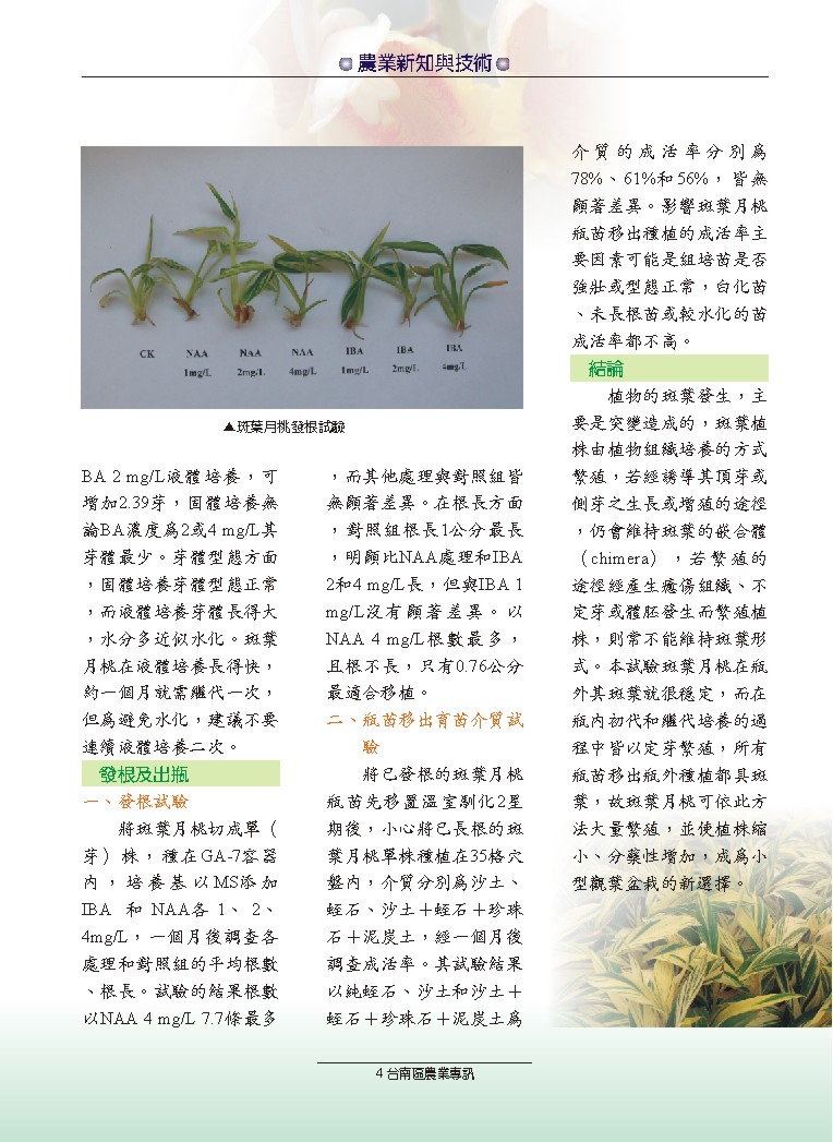 ������礧�A�~�s���P�޳N�����Ϥ�