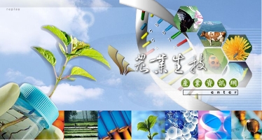 �A�~�ͧ޲��~��T������
