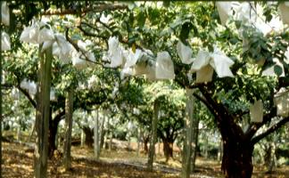 ���G�M�U�i��ֹA�Ĵݯd