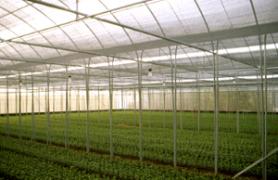 �h����]���|�@�~