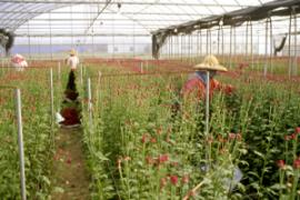 �h���Ħ��@�~