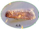 ����]��