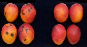 �~�G�H1�J�N��7��A�g�Ƿ�6��ᤧ���G