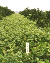 ��Τj���x�n7���A�X����������ѩζV�V��Ψϥ�