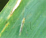 �˪��϶H����