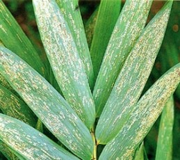 �˪��϶H�M�`���p����մ�