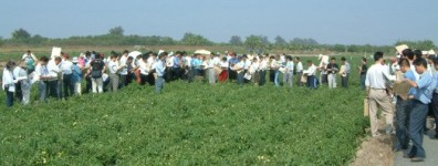 �[���|�l�޲��h�ӻ��ѻP