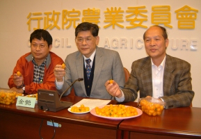 ������2��19��b�A�e�|�l�}���פp�G�f�X�x�n12���o���|�A�{���C��ϬM���P