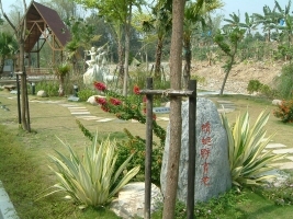 �J�Щ�֪��h�\��ͺA���