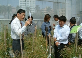 �L�����T�ۡ]���^�D���ĺ��[���|