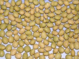 �L�L�ӭ����]�j��