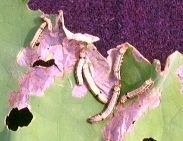 �ׯ��]�s����