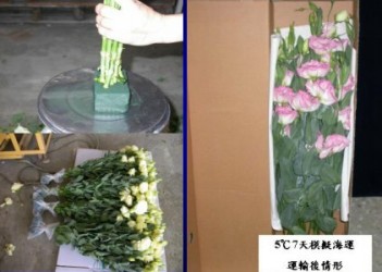 �v�ܱ�~�P�O�A�]�˳B�z