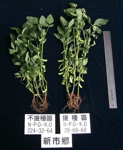 �ڽF�ߵo���ͪ��ʩT��@