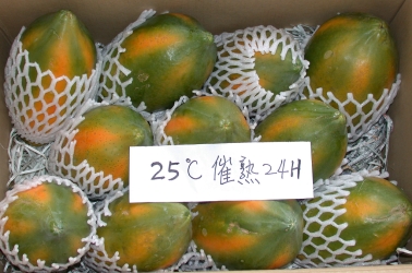 ��Z���B��(�p�j���B�s�[�Y)�ʼ���B��~����