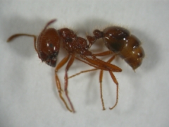 �J�I�����ƥ~�[