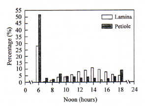 �¨��լc�����v���ܤ�