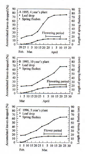 �¨��լc���G���K�����ֿn�����v��