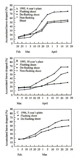 �¨��լc��ͬK�鰣�h�K��εL��K��