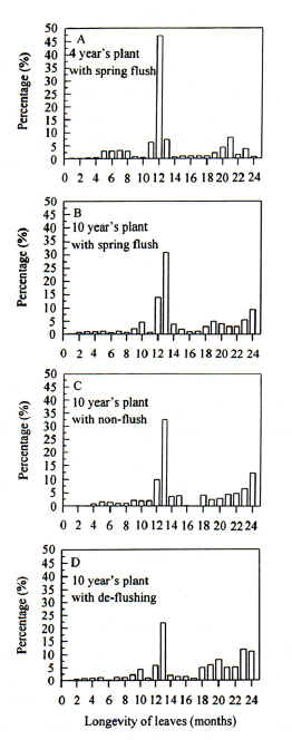 �¨��լc���G���K�����ةR�լd
