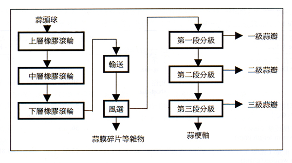 ¹Ï1.¡@»[ÀYéä¿ï§O¤À¯Å¾÷§@·~¬yµ{¡C<br>Fig. 1. Operation flow chart of the garlic clove dividing, selecting, and grading machine.