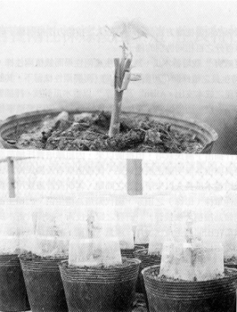 ��1.�f��ʼA���]�W�^�γz���콦�M�n�������]���O�㱹�I�]�U�^