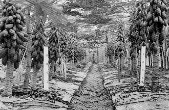 ��6.�f��ʶ����]�]���^�ι�ͭ]�]�k�^����1�q�۪G���פ��