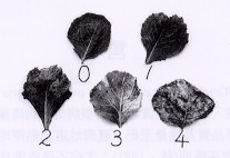 �Ϥ@�B�»G�f�����o�f����