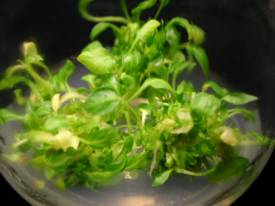 ����]shooting�^