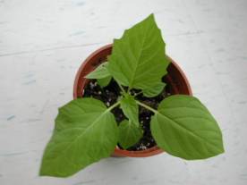 ���㪺�Ӯ�