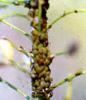 �]�I�������2.JPG (121062 bytes)