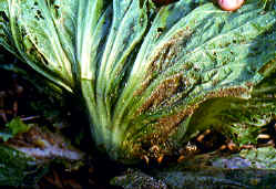 �]�I�������3.JPG (205657 bytes)