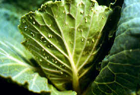 �]�I�������7.JPG (181541 bytes)