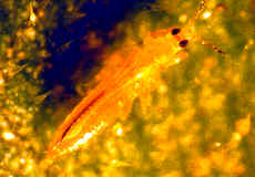 �]�I�������13.JPG (155211 bytes)