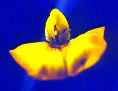 �]�I�������15.JPG (75178 bytes)