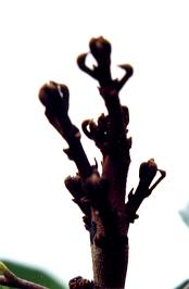 �|���w����ǭ���εu�Y��