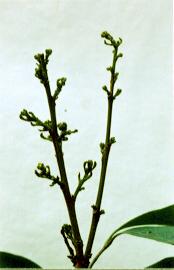 �H�`�������J�K