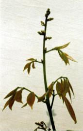 �a�����J