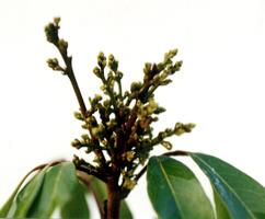 �q���B�z�¸���K�����J