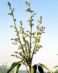 ��Ӯ�¸���K�����J