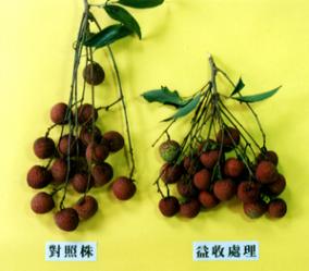 �q���B�z�¸���K�G�J���u(�ϥk)��Ӯ�F�G�J����(�ϥ�)