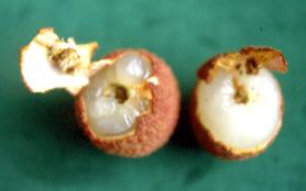 ��K�Ӹ����ΦM�`�G��