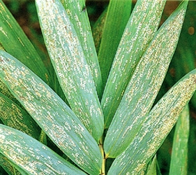 �˪��϶H�M�`���p����մ�