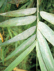 �˸���H�M�`�Y�����·ѯf